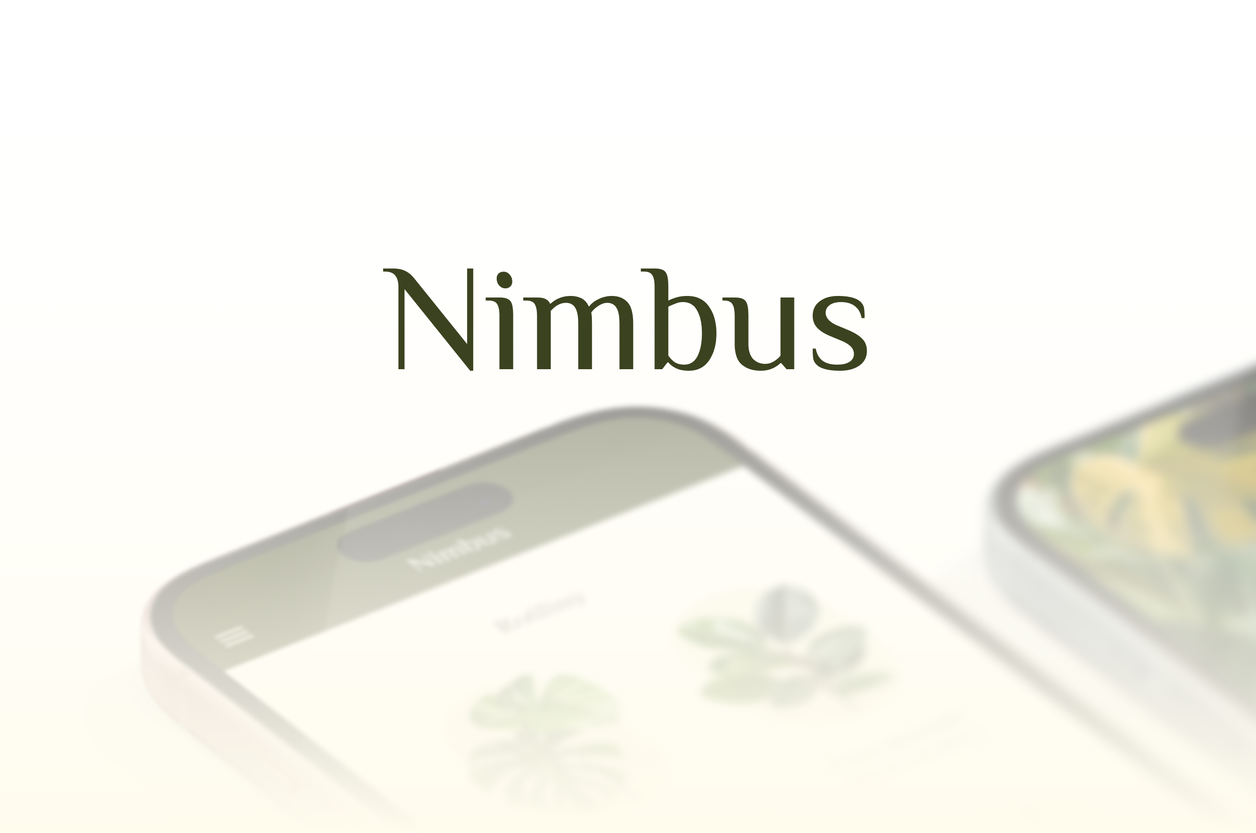Nimbus - Wnioski